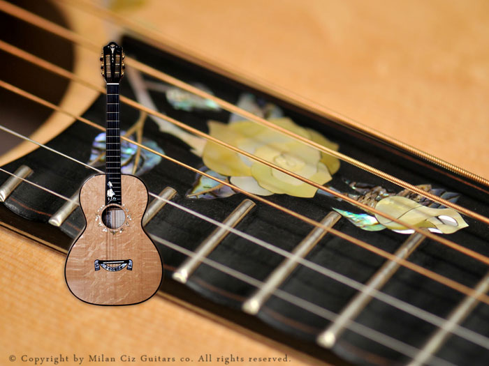 30. Anniversary model<